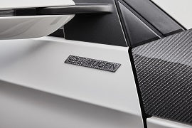 Mugen Carbon Emblem
